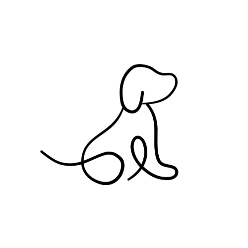 Séance d'ostéopathie canine