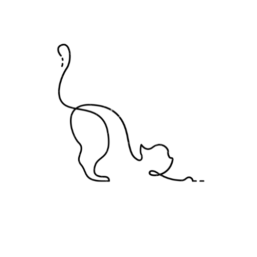 Séance d'ostéopathie féline