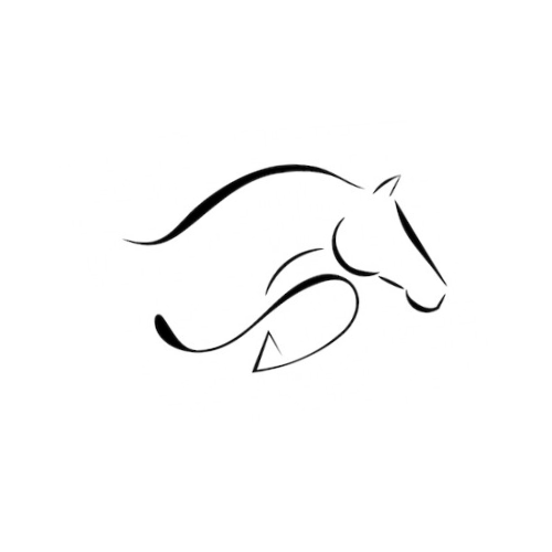 Séance d'ostéopathie équine